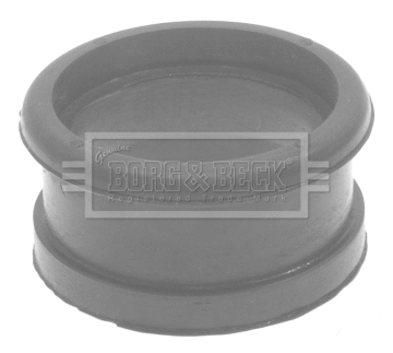 Gaine de suralimentation BORG & BECK BTH1290