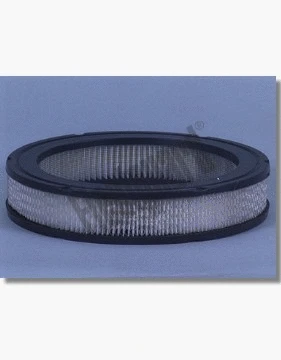 Filtre à air FLEETGUARD AF1777