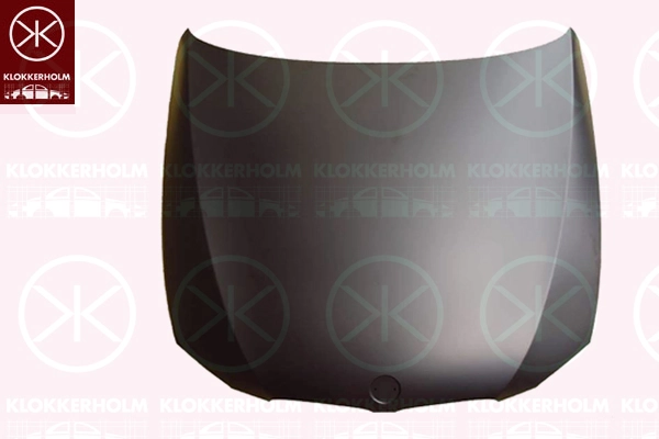 Capot-moteur KLOKKERHOLM 0062281