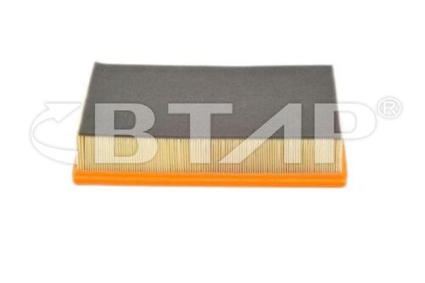Filtre à air BTAP BVE301-043