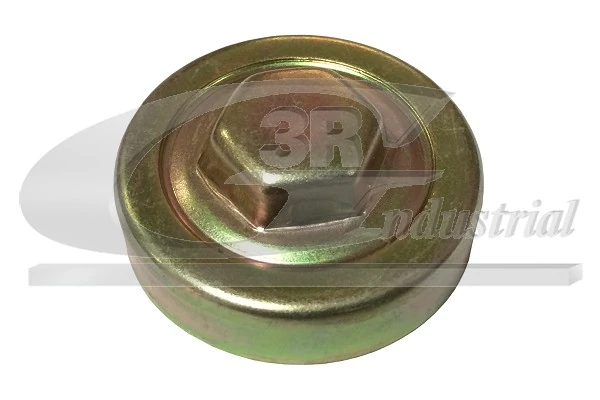 Bouchon de radiateur 3RG 81663