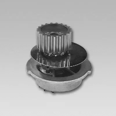 Pompe à eau, refroidissement du moteur GK 982793