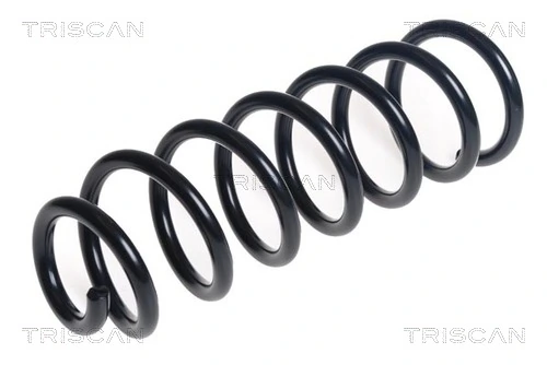 Ressort de suspension TRISCAN 8750 23204