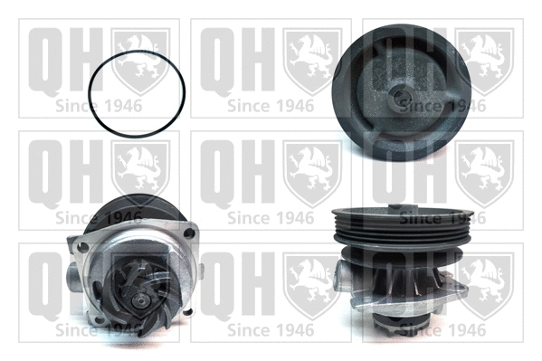 Pompe à eau, refroidissement du moteur QUINTON HAZELL QCP3114