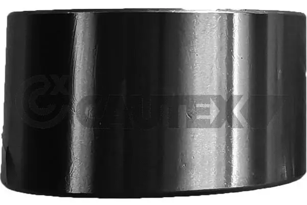 Roulement de roue CAUTEX 760046