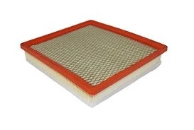 Filtre à air ACDelco Oceania ACA334