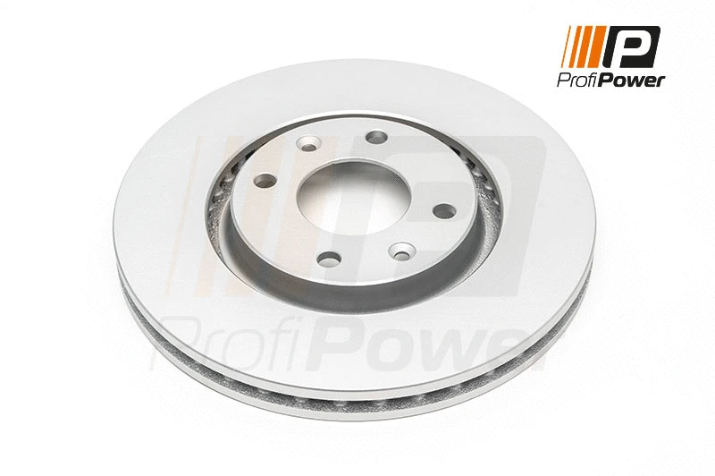 Disque de frein ProfiPower 3B1010