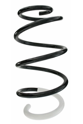 Ressort de suspension SPIDAN 87095