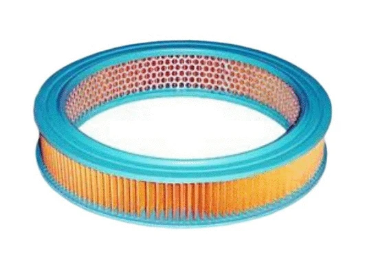 Filtre à air ACDelco Oceania ACA27