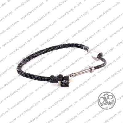 Capteur, température des gaz DIPASPORT INJGS017N