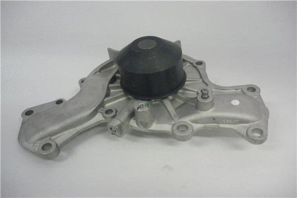 Pompe à eau, refroidissement du moteur GMB Oceania GWM-40A