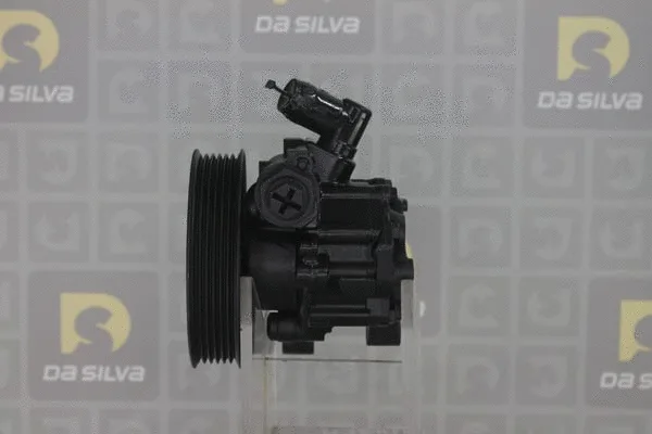 Pompe hydraulique, direction DA SILVA DP3054