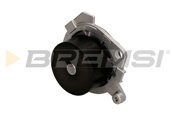 Pompe à eau, refroidissement du moteur BREMSI WP0098
