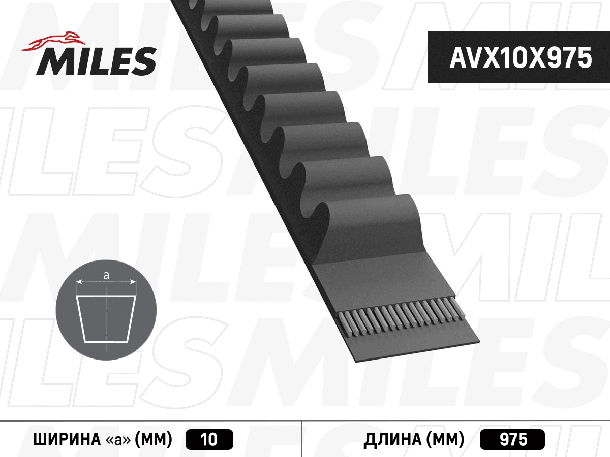 Courroie trapézoïdale MILES AVX10X975