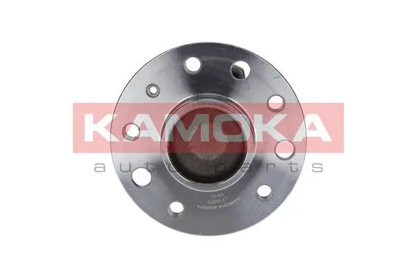 Kit de roulements de roue KAMOKA 5500078