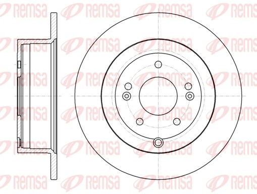 Disque de frein REMSA 61106.00