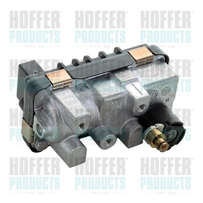 Détendeur de suralimentation HOFFER 6200009