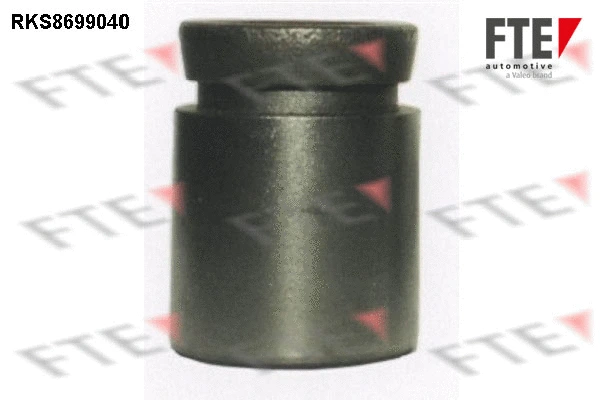 Piston, étrier de frein FTE 9313498