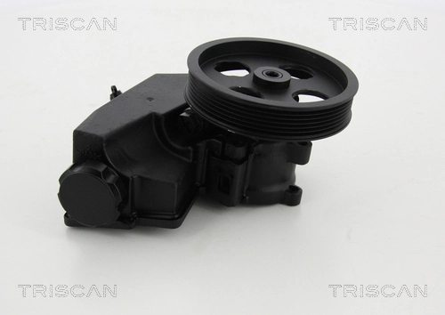 Pompe hydraulique, direction TRISCAN 8515 80601