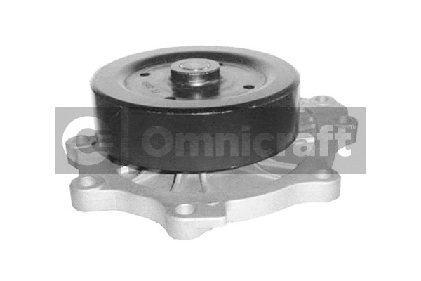 Pompe à eau, refroidissement du moteur Omnicraft 2316974