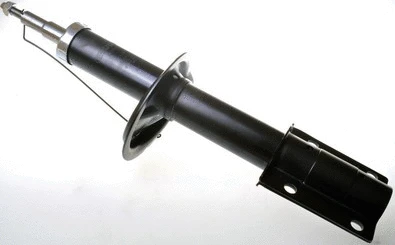 Amortisseur DENCKERMANN DSB016G