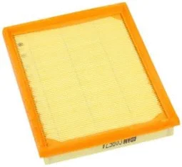 Filtre à air Fram-Au CA8674