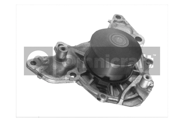 Pompe à eau, refroidissement du moteur Omnicraft 2317450