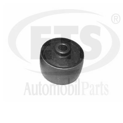 Suspension, bras de liaison ETS 06.SB.528