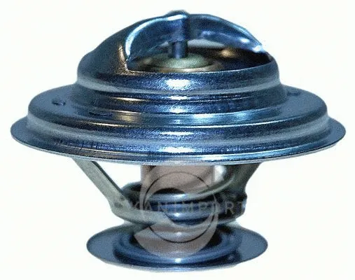 Thermostat, liquide de refroidissement SKANIMPORT T-2588