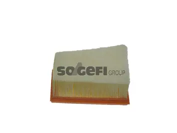 Filtre à air FRAM CA10249