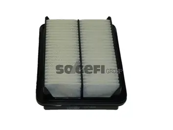 Filtre à air FRAM CA10064
