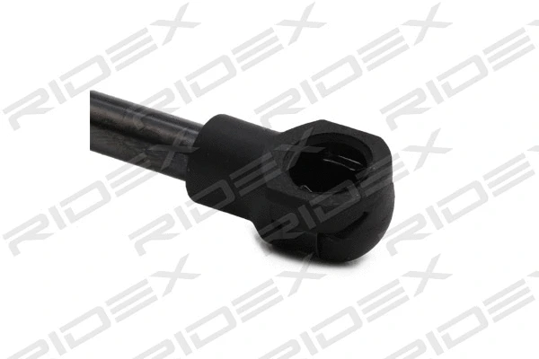 Vérin de hayon, de coffre RIDEX 219G0843