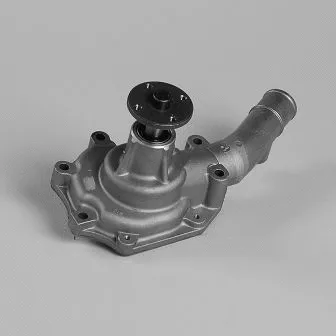 Pompe à eau, refroidissement du moteur GK 987663