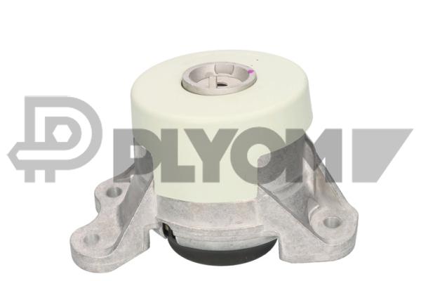 Support moteur PLYOM P776424