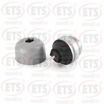 Support moteur ETS 02.EM.113