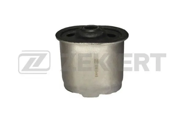 Suspension, ressort à lames ZEKKERT GM-5445
