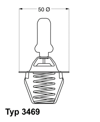 Thermostat, liquide de refroidissement BorgWarner (Wahler) 3469.91D