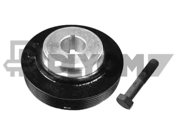 Kit de poulies, vilebrequin PLYOM P752335