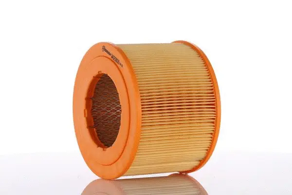 Filtre à air PZL Filters WA20800
