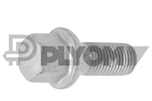 Vis de roue PLYOM P769886