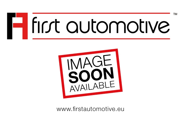 Filtre à carburant 1A FIRST AUTOMOTIVE D20290