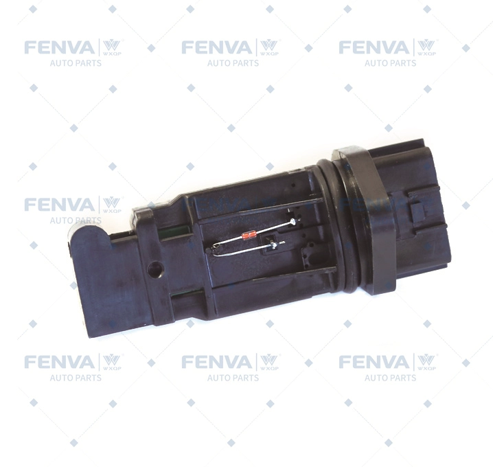 Débitmètre de masse d'air WXQP 12121