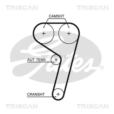 Courroie crantée TRISCAN 8645 5669XS