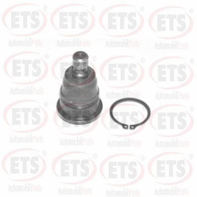 Rotule de suspension ETS 54.BJ.485