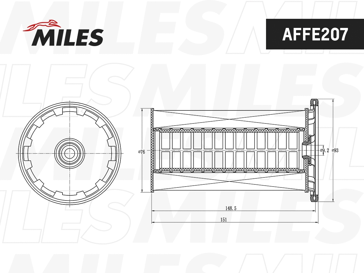 Filtre à carburant MILES AFFE207