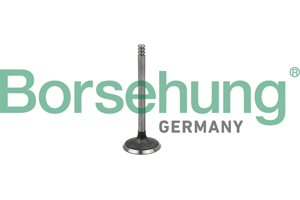 Soupape d'admission Borsehung B19029