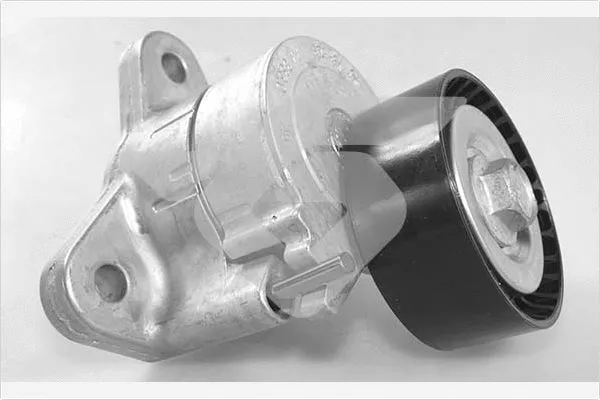 Poulie de tension, courroie trapézoïdale à nervures HUTCHINSON T0555