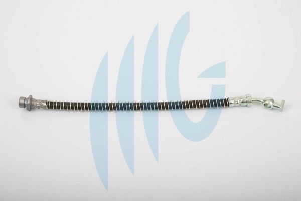 Flexible de frein RICAMBIFLEX GM 02280436