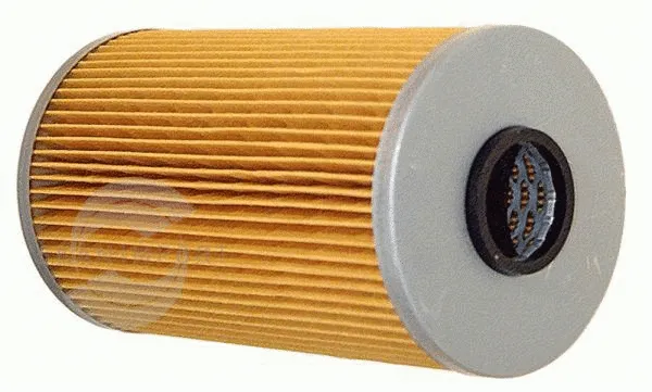 Filtre à huile SKANIMPORT SPO-0820