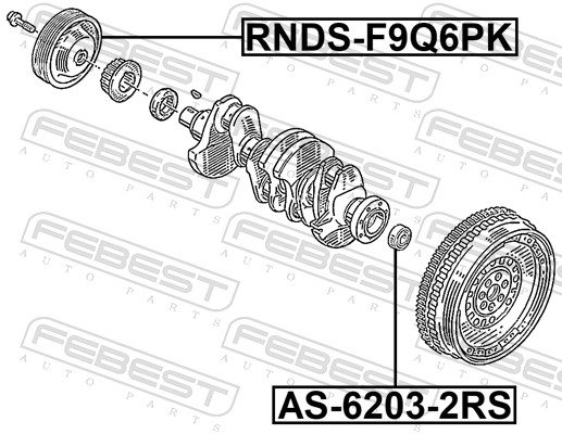 Poulie, vilebrequin FEBEST RNDS-F9Q6PK